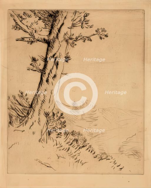 Tronc D'arbre, c1879. Creator: Alphonse Legros.