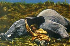 Trophy-hunter with dead elephant, c1928. Creator: Unknown