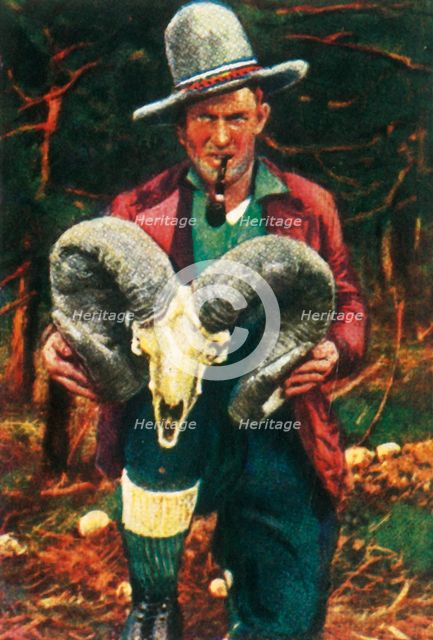 Trophy-hunter holding Bighorn sheep skull, c1928.  Creator: Unknown.