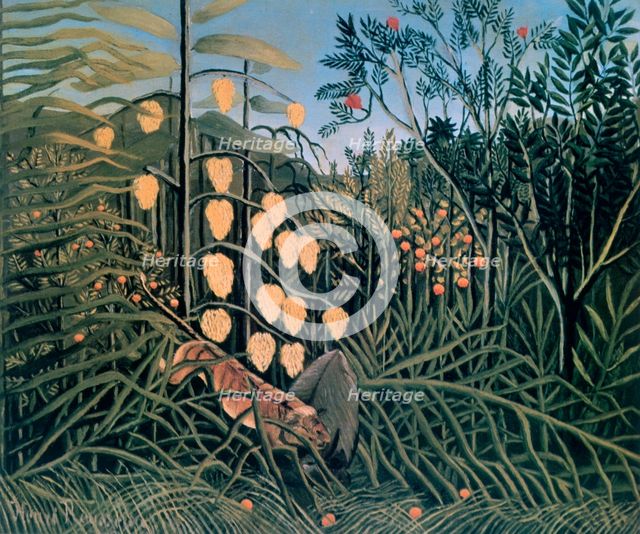 'Tropical Forest: Battling Tiger and Buffalo', 1908.  Artist: Henri Rousseau