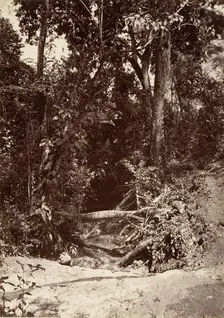 Tropical Scenery, The Brook El Bano, Chipigana, 1871. Creator: John Moran