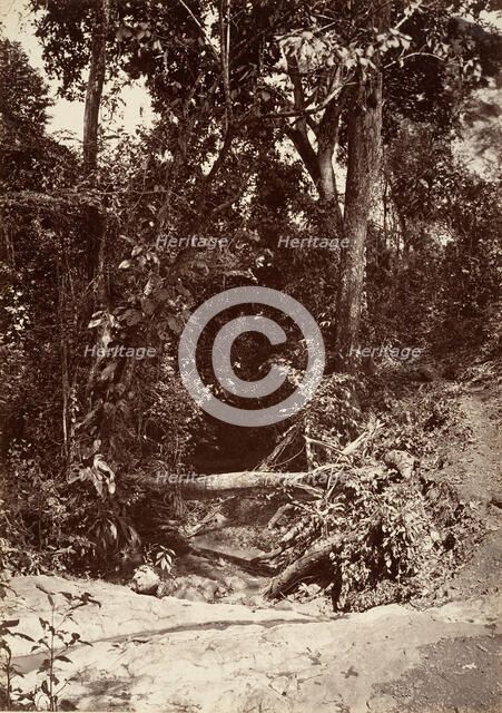 Tropical Scenery, The Brook El Bano, Chipigana, 1871. Creator: John Moran.