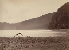 Tropical Scenery, The Terminus of the Proposed Canal, Limon Bay, 1871. Creator: John Moran