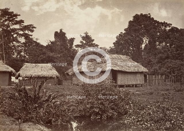 Tropical Scenery, Turbo Village, 1871. Creator: John Moran.