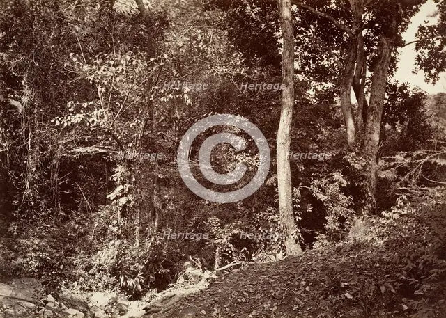 Tropical Scenery, View Near Chipigana, 1871. Creator: John Moran.