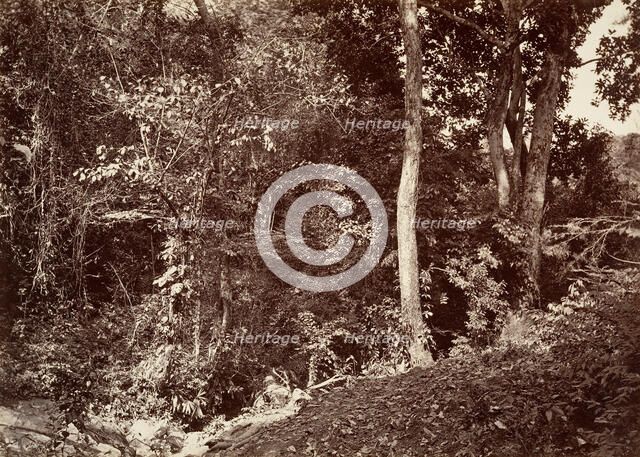 Tropical Scenery, View Near Chipigana, 1871. Creator: John Moran.