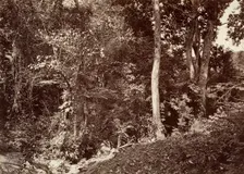 Tropical Scenery, View Near Chipigana, 1871. Creator: John Moran
