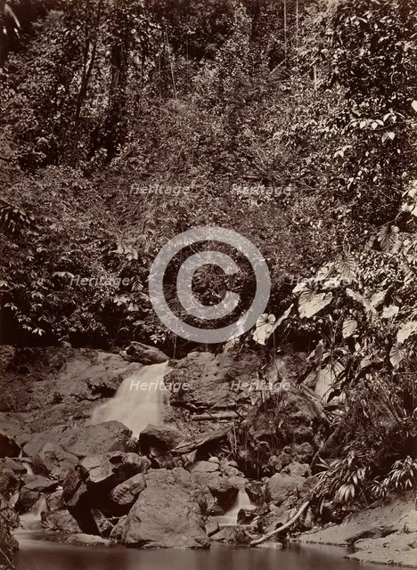 Tropical Scenery, Cascade, Limon River, 1871. Creator: John Moran.