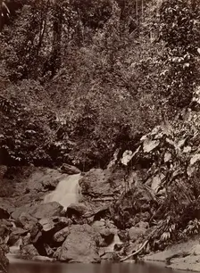 Tropical Scenery, Cascade, Limon River, 1871. Creator: John Moran