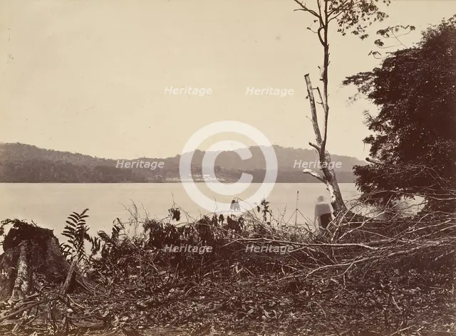 Tropical Scenery, Darien Harbor, Chipigana, 1871. Creator: John Moran.