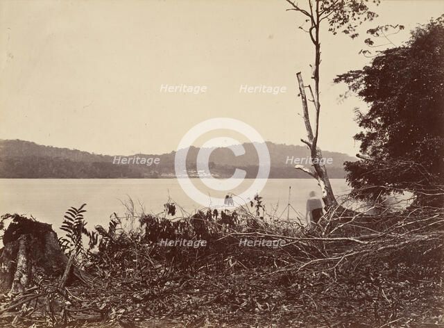 Tropical Scenery, Darien Harbor, Chipigana, 1871. Creator: John Moran.