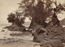 Tropical Scenery, Limon Bay - Low Tide, 1871. Creator: John Moran