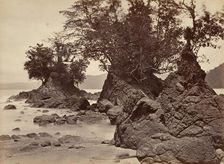 Tropical Scenery, Limon Bay - Low Tide, 1871. Creator: John Moran