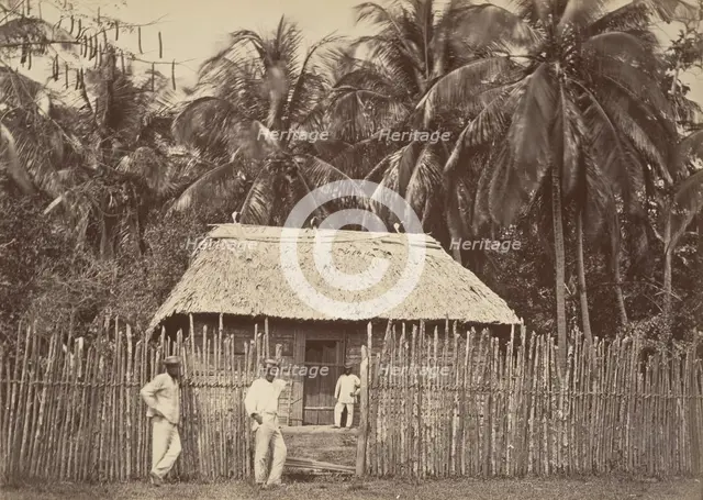 Tropical Scenery, Native Hut, Turbo, 1871. Creator: John Moran.