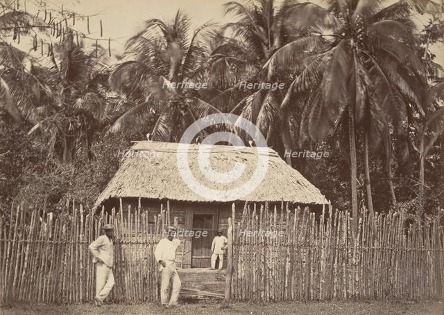 Tropical Scenery, Native Hut, Turbo, 1871. Creator: John Moran.