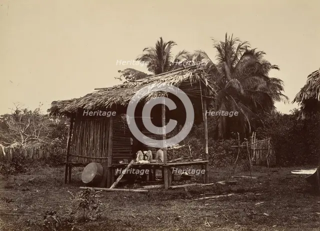 Tropical Scenery, Native Hut, Turbo, 1871. Creator: John Moran.