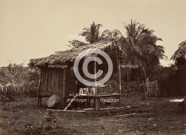 Tropical Scenery, Native Hut, Turbo, 1871. Creator: John Moran.
