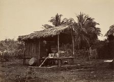 Tropical Scenery, Native Hut, Turbo, 1871. Creator: John Moran