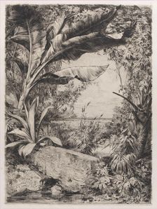 Tropical Plants, 1863. Creator: Jules-Ferdinand Jacquemart
