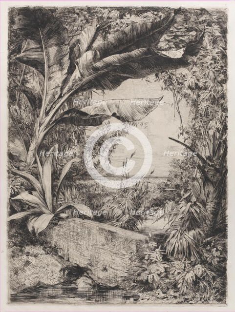 Tropical Plants, 1863. Creator: Jules-Ferdinand Jacquemart.