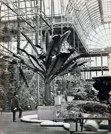 Tropical plants in the Egyptian Room, Crystal Palace, Sydenham, London, 1854. Creator: Philip Henry Delamotte