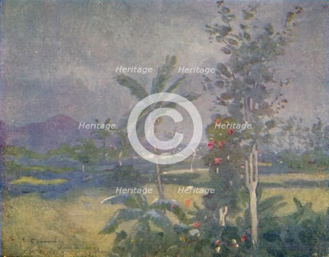 'Tropical Rains in the West Indies', 1924. Artist: Unknown.