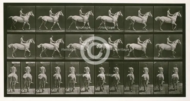 Trotting, 1872-1885.  Creator: Eadweard J Muybridge.