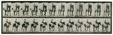 Trotting, bareback, 1872-1885. Creator: Eadweard J Muybridge