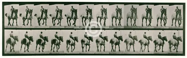 Trotting, bareback, 1872-1885.  Creator: Eadweard J Muybridge.