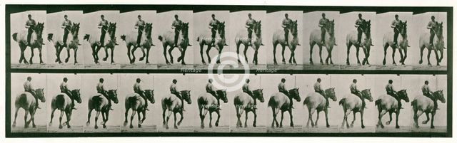 Trotting, bareback, 1872-1885.  Creator: Eadweard J Muybridge.