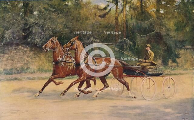 Trotting pair of Walter Winans, 1900 (c1910). Artist: Thomas Blinks.