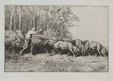 Troupeau de pores sortant dune bois. Creator: Charles-Émile Jacque (French, 1813-1894)