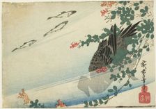 Trout, duck, and bush clover, c. 1840. Creator: Ando Hiroshige
