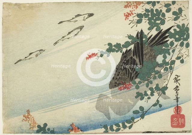 Trout, duck, and bush clover, c. 1840. Creator: Ando Hiroshige.