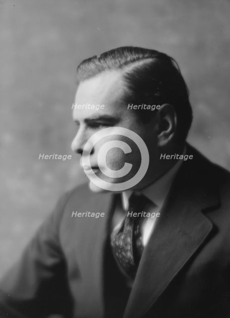 Trovitch, D., Mr., portrait photograph, 1917 May 21. Creator: Arnold Genthe.