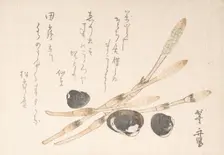 Tsukushi Plant and Shijimi Shells. Creator: Uematsu Toshu