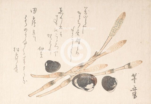 Tsukushi Plant and Shijimi Shells. Creator: Uematsu Toshu.