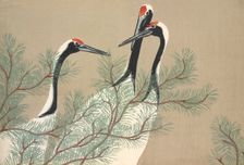 Tsuru, from Momoyo-gusa (The World of Things) Vol II, pub.1909 (colour block woodcut)