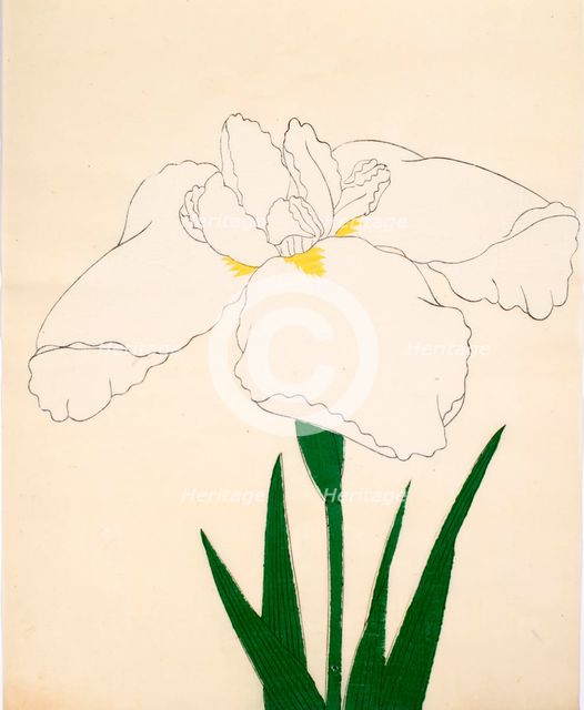 Tsuru-No-Kegoromo, No. 33, 1890, (colour woodblock print)