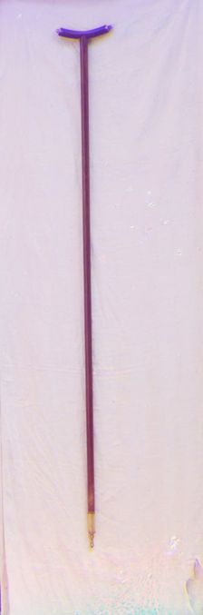 Tsar Mikhail Feodorovich's staff. In the vestry of the Ipatiev Monastery, Kostroma, 1911