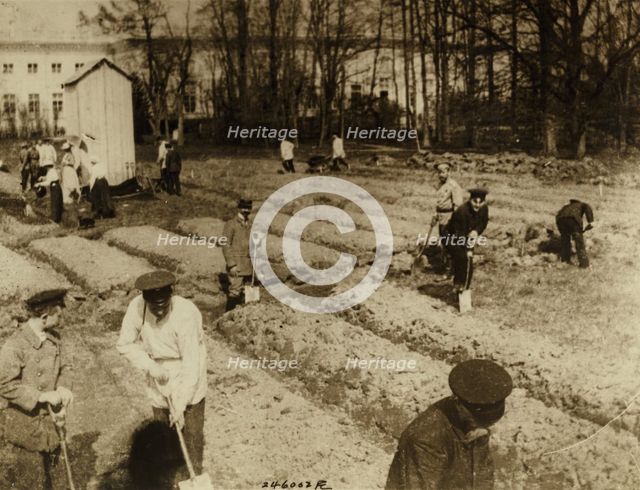 Tsar Nicholas II and family gardening at Alexander Palace during internment at Tsarskoye Selo, 1917,