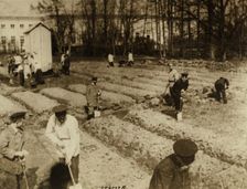 Tsar Nicholas II and family gardening at Alexander Palace during internment at Tsarskoye Selo, 1917