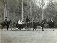 Tsar Nicholas II of Russia with his family in the park of Tsarskoye Selo, Russia, 1900s. Artist: K von Hahn