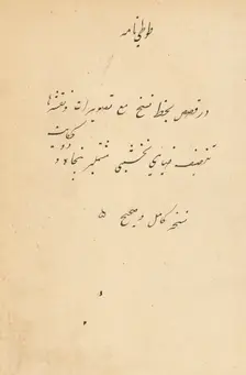 Tuti-Nama (Tales of a Parrot), c. 1560. Creator: Unknown