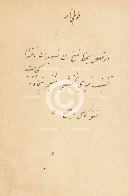 Tuti-Nama (Tales of a Parrot), c. 1560. Creator: Unknown.
