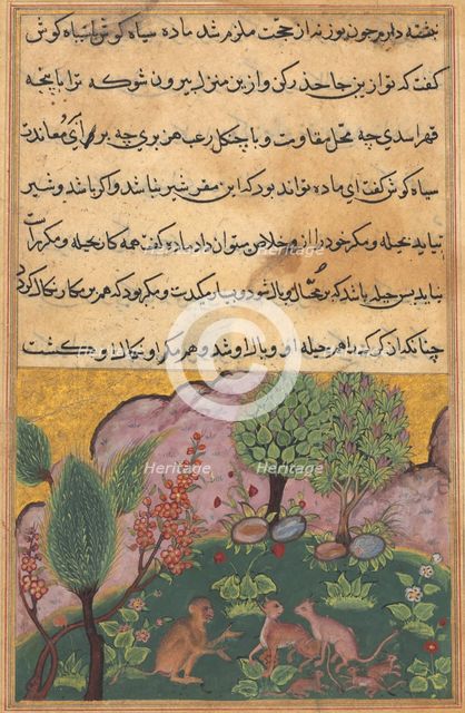 Tuti-Nama (Tales of a Parrot): Tale XXIX, c. 1560. Creator: Unknown.
