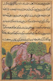 Tuti-Nama (Tales of a Parrot): Tale XXIX, c. 1560. Creator: Unknown