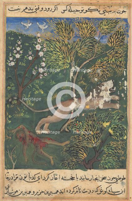 Tuti-Nama (Tales of a Parrot): Tale XXIX, c. 1560. Creator: Unknown.