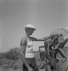 Tubercular father of a family of nine who are stranded in New Mexico with no money, 1936. Creator: Dorothea Lange