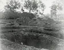 "Tuckahoe," Nehemiah Addison Baker house, Route 650, near Mankin, Goochland County, VA, 1936. Creator: Frances Benjamin Johnston